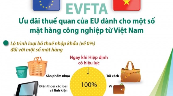 EU sẽ đề xuất bỏ quy định miễn thuế nhập khẩu đơn hàng có giá trị dưới 150 Euro