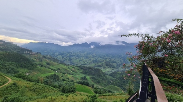 Một ngày hè ở Sa Pa