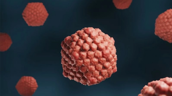 Đã tìm ra loại gen điều trị virus Herpes tấn công não, nguy cơ tử vong tới 70%?