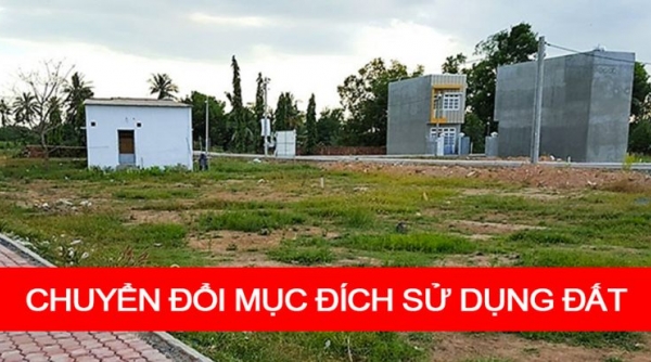 Điều kiện chuyển mục đích sử dụng đất trồng lúa, đất rừng sang mục đích khác