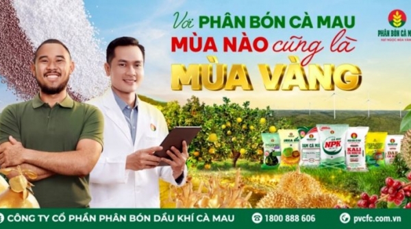 PVCFC: Đồng hành cùng những "mùa vàng" của bà con nông dân