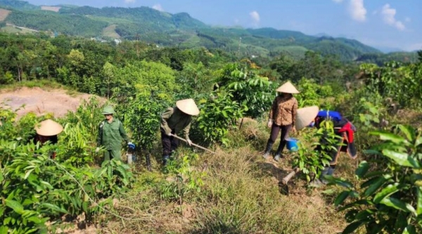 Huyện Ba Chẽ: Nỗ lực bảo vệ môi trường