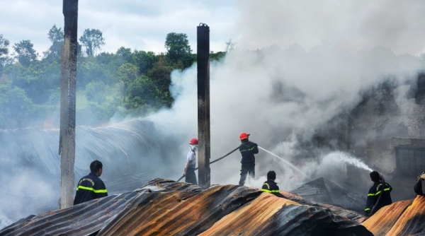 Cháy kho ở TP. Bảo Lộc thiêu rụi nhiều ô tô