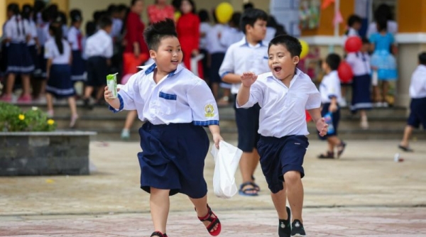 TP. Hồ Chí Minh sẽ ban hành quy chế siết quảng cáo sai sự thật lĩnh vực giáo dục