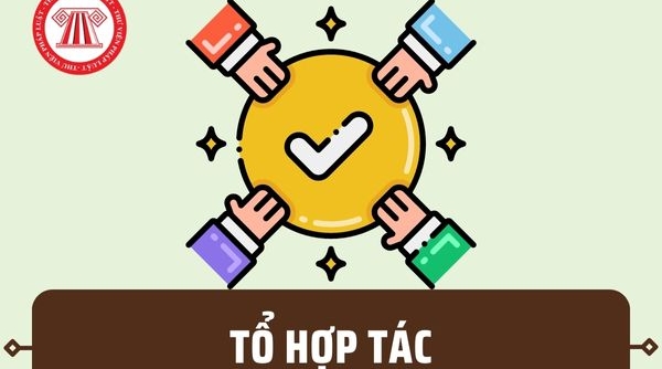 Thủ tục chấm dứt hoạt động tổ hợp tác trên môi trường điện tử