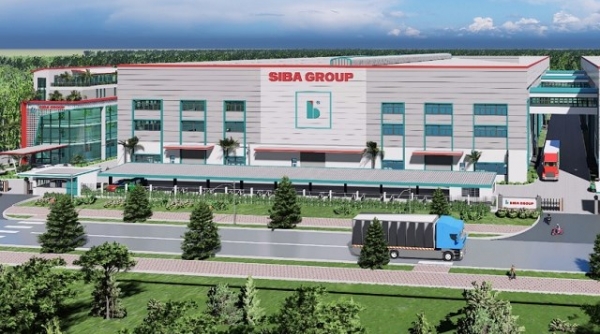 Siba Group sẽ chào bán 11,5 triệu cổ phiếu