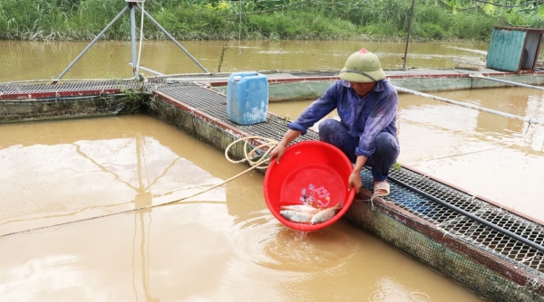 Bắc Ninh: Yêu cầu người dân không được ở lại trên các lồng bè nuôi trồng thủy sản, các bến đò ngang, tàu thuyền hoạt động trên sông