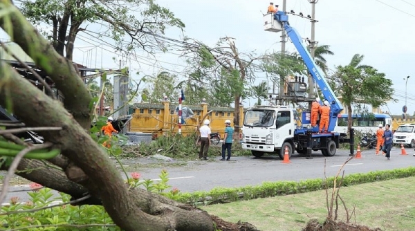 Cập nhật thông tin về ảnh hưởng của bão số 3 đến vận hành và cấp điện tính đến chiều 10/9