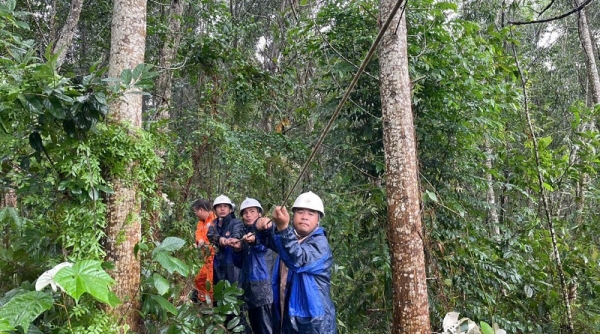 Cập nhật thông tin về ảnh hưởng của bão số 3 đến vận hành và cấp điện tính đến sáng 12/9