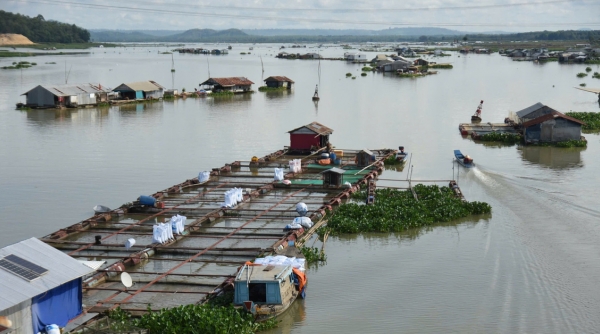 Cảnh báo nguy cơ lũ trên sông La Ngà và sông Đồng Nai