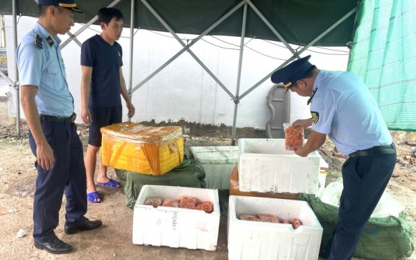 Quảng Ninh thu giữ 800 kg trứng gà non không rõ nguồn gốc