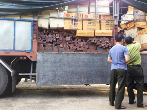 Thanh Hóa: Bắt giữ hơn 6m3 gỗ quý không giấy tờ đang trên đường đưa đi tiêu thụ Thanh Hóa: Bắt giữ hơn 6m3 gỗ quý không giấy tờ đang trên đường đưa đi tiêu thụ