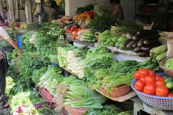 Bão số 4 đổ bộ “cơ hội” lên giá rau xanh Bão số 4 đổ bộ “cơ hội” lên giá rau xanh
