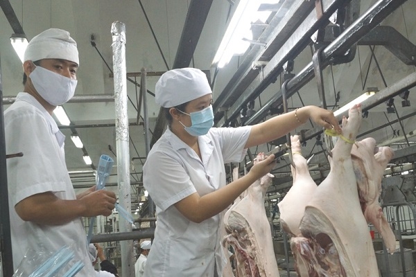 Sẽ cấm sử dụng thức ăn chứa kháng sinh với mục đích kích thích tăng trưởng vào năm 2018 Sẽ cấm sử dụng thức ăn chứa kháng sinh với mục đích kích thích tăng trưởng vào năm 2018