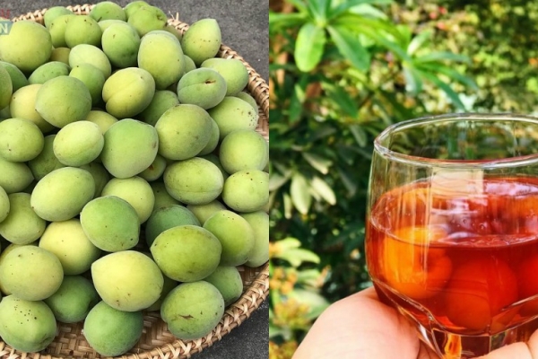“Mẹ bỉm sữa” chia sẻ cách làm rượu mơ của Nhật Bản ngon đúng điệu “Mẹ bỉm sữa” chia sẻ cách làm rượu mơ của Nhật Bản ngon đúng điệu