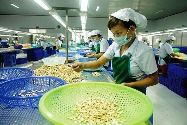 Điều chỉnh mục tiêu xuất khẩu hạt điều xuống 3,2 tỷ USD Điều chỉnh mục tiêu xuất khẩu hạt điều xuống 3,2 tỷ USD