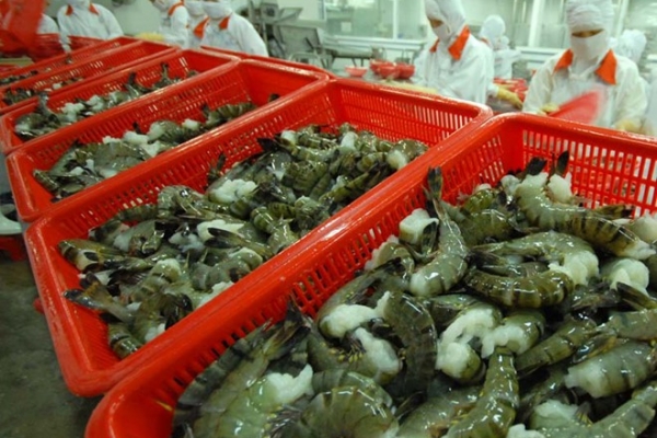 Xuất khẩu thuỷ sản sang thị trường Mỹ và Anh ghi nhận những tín hiệu tích cực Xuất khẩu thuỷ sản sang thị trường Mỹ và Anh ghi nhận những tín hiệu tích cực