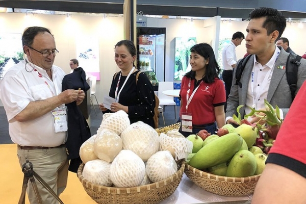 Hàng loạt nông sản Việt chinh phục thị trường châu Âu nhờ thuế 0% Hàng loạt nông sản Việt chinh phục thị trường châu Âu nhờ thuế 0%