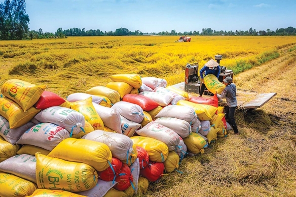 Chỉ đạo, điều hành của Chính phủ, Thủ tướng Chính phủ nổi bật tuần 18-25/9/2026