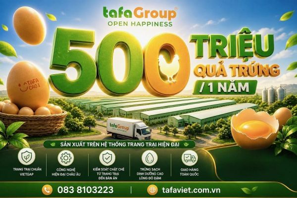 TAFA Group: Từ 10 con gà đến năng lực cung ứng 500 triệu quả trứng mỗi năm