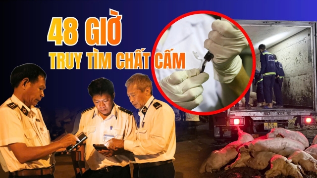Xuyên đêm truy tìm chất cấm: Cuộc chạy đua xét nghiệm 35 tấn heo của Thú y TP.HCM