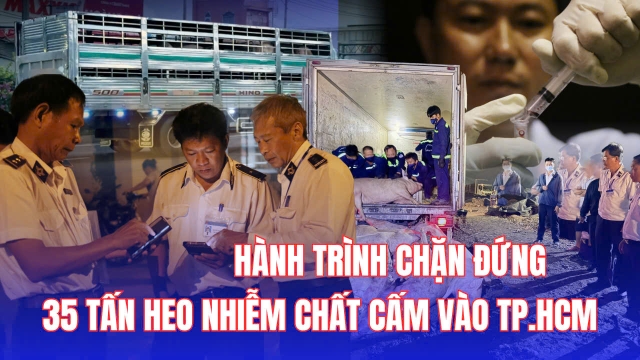 Toàn cảnh hành trình chặn đứng 35 tấn heo nhiễm chất cấm vào TP.HCM