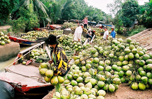 Sản phẩm CN nông thôn tiêu biểu: Chú trọng xây dựng thương hiệu - Hình 1