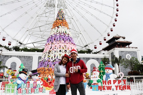 Đến Asia Park, chiêm ngưỡng cây thông gấu bông lớn nhất Việt Nam - Hình 2