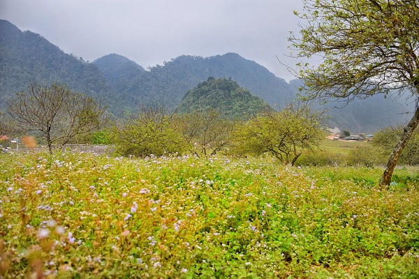 Du lịch Hang Kia- Miền đất huyền bí - Hình 6