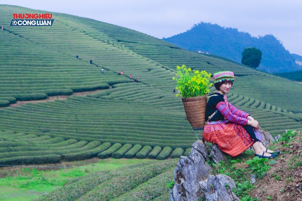 Có một Mộc Châu đẹp tinh khôi trong những sắc hoa - Hình 6