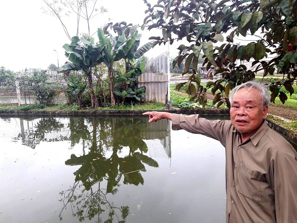 Huyện Thọ Xuân (Thanh Hóa): Quy hoạch mặt bằng, đấu giá đất kiểu “treo đầu dê bán thịt chó”? - Hình 2