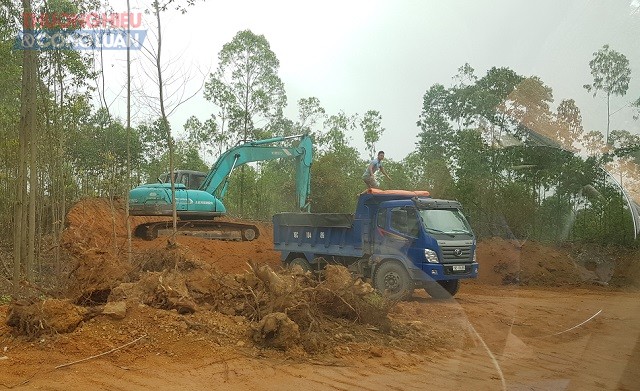 Xã Thanh Đình (Phú Thọ): Đất rừng ngang nhiên bị “xẻ thịt” không phép - Hình 4