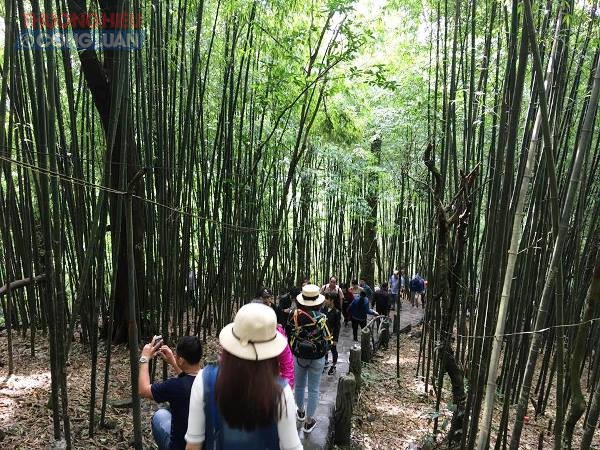 Thăm đền thiêng Bà Chúa Thượng Ngàn Tam Đảo - Hình 3