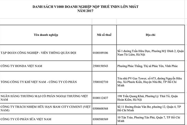 Công bố danh sách những doanh nghiệp nộp thuế nhiều nhất Việt Nam - Hình 1