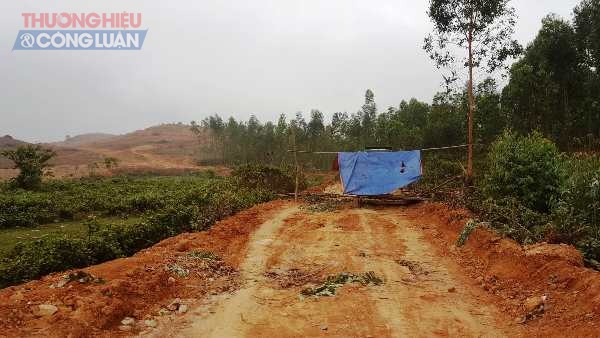 Vĩnh Phúc: Dự án sinh thái thi công, người dân trắng đêm giữ đất - Hình 3