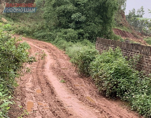 Thái Nguyên: Cần xử lý nghiêm hoạt động khai thác đất trái phép tại huyện Phú Bình - Hình 4