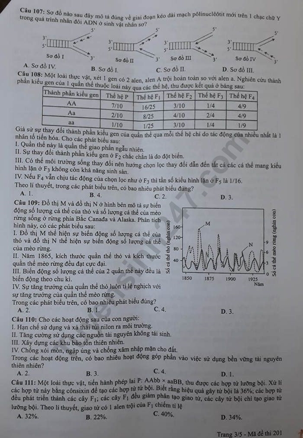 Gợi ý đáp án đề thi môn Sinh học, kỳ thi THPT Quốc gia 2019 - Hình 2