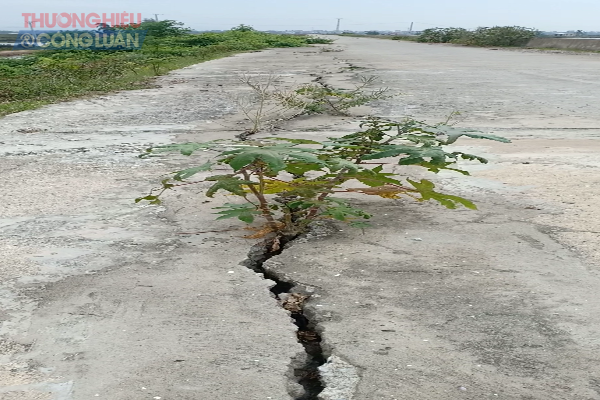 Hoằng Hóa (Thanh Hóa): Tuyến đê trăm tỷ vừa đưa vào sử dụng đã xuất hiện nhiều vết nứt - Hình 1