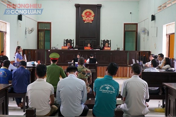 Kon Tum: Tranh luận nảy lửa vụ “cưa gỗ khô bị kết tội trộm cắp” - Hình 2