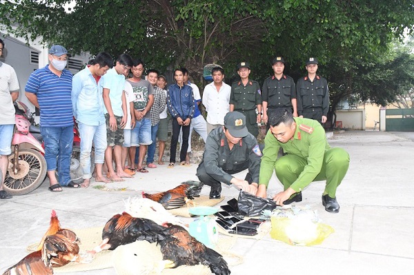 Lực lượng chức năng vừa triệt phá tụ điểm đá gà, bắt 25 đối tượng và thu giữ hơn 100 triệu đồng.