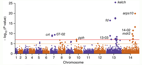 Biểu đồ về tình trạng kháng thuốc Artemisinin (Nguồn:trúc di truyền của Plasmodium falciparum kháng artemisinin, Nature Genetics 47)