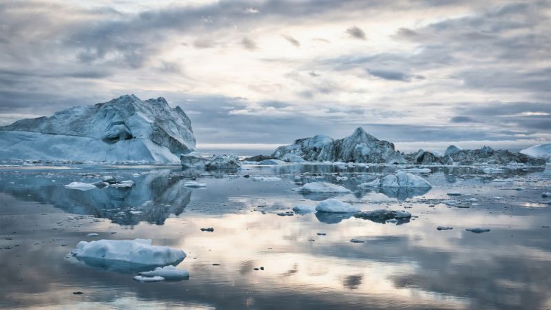 Ảnh: Getty Images