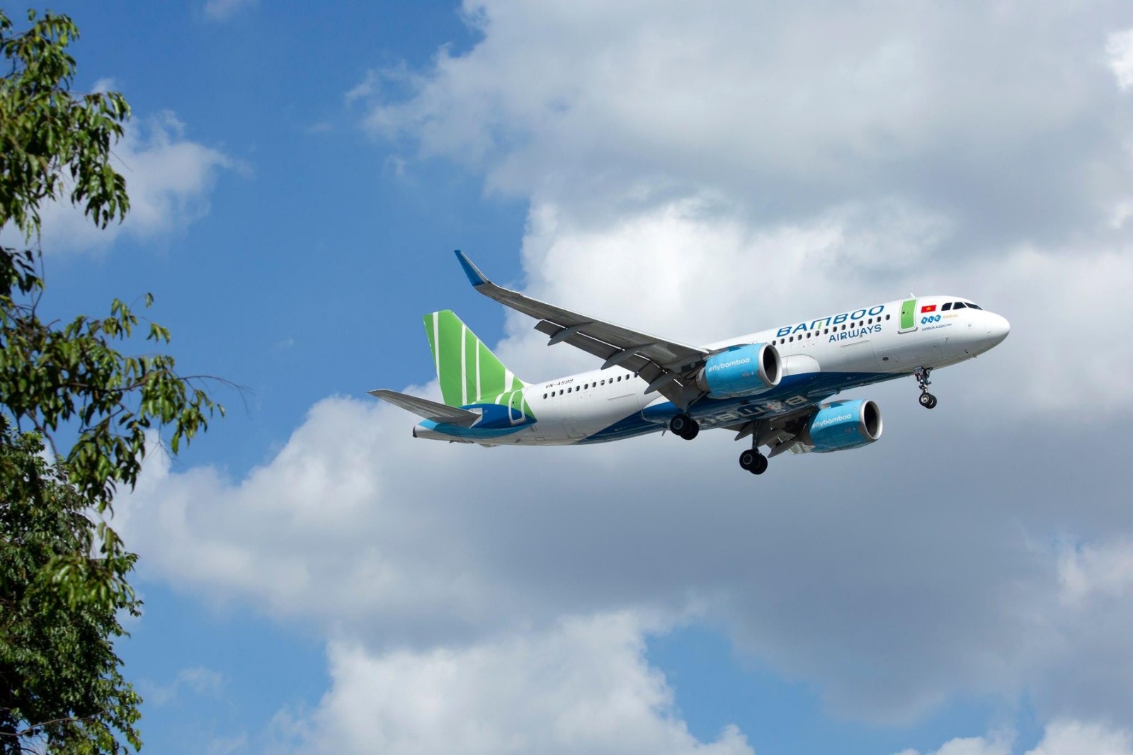 Bamboo Airways đang mở rộng nhanh chóng quy mô mạng bay quốc tế trong năm 2022