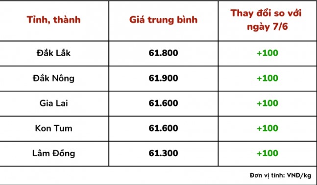 Giá cà phê trong nước hôm nay 8/6/2023