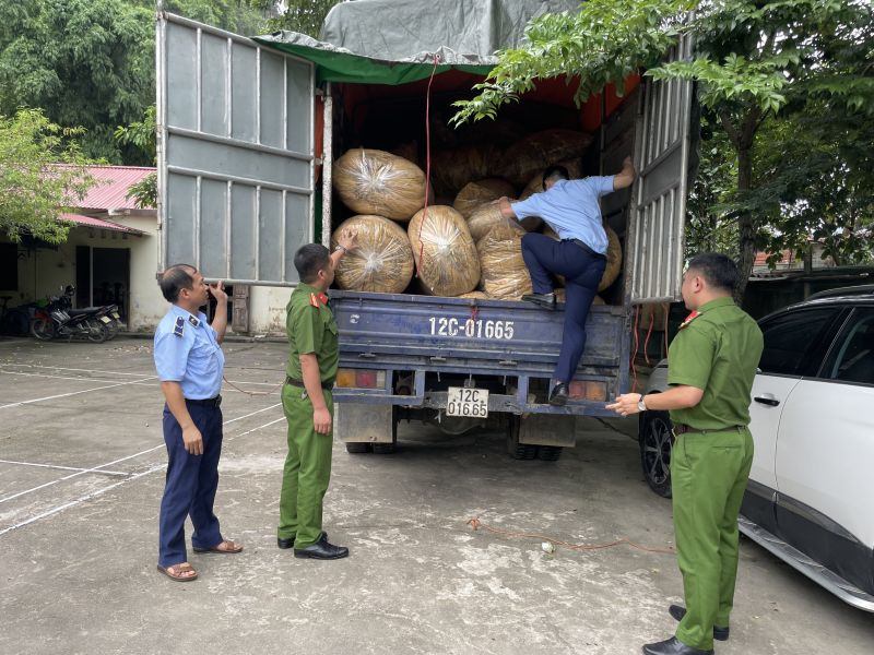 Tang vật và phương tiện được lực lượng chức năng tạm giữ