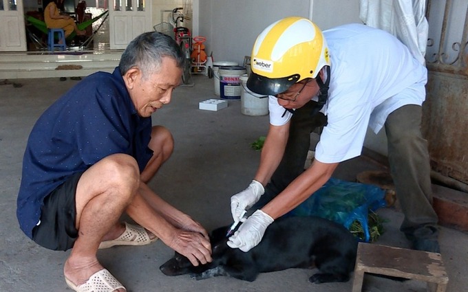 Thực hiện tiêm vắc xin phòng bệnh dại cho chó mèo