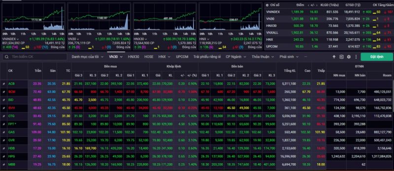 Kết phiên giao dịch ngày 24/8, VN-Index tăng 16,83 điểm (+1,63%) lên mức 1.189,39 điểm