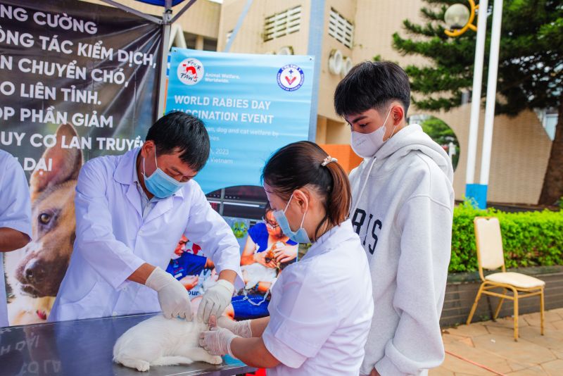 FOUR PAWS hỗ trợ hoạt động Tiêm phòng bệnh Dại miễn phí