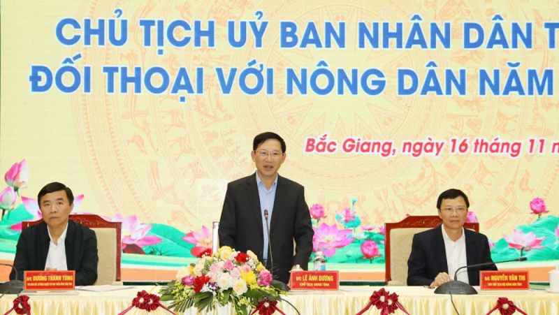 Chủ tịch UBND tỉnh Bắc Giang Lê Ánh Dương phát biểu tại hội nghị.