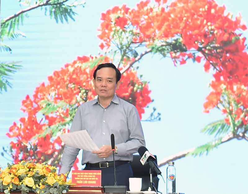 Phó thủ tướng Chính phủ Trần Lưu Quang, Trưởng Ban Chỉ đạo 389 quốc gia